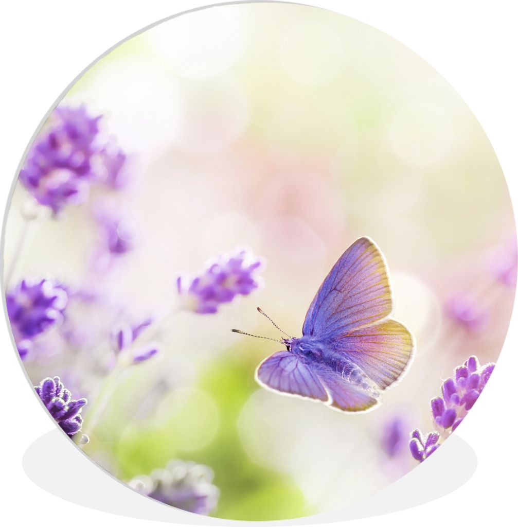 MuchoWow Rundes Wandbild - Runde Bilder Lavendel - Schmetterling - Blumen Ø 90 cm Kreis Wanddekoration Kunststoff - Wandkreis - Wandschmuck - Wa...