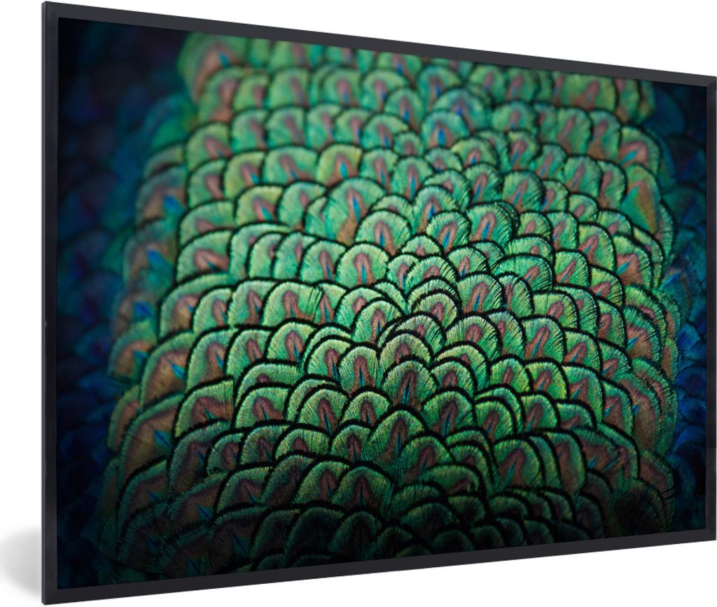 MuchoWow® Gerahmtes Poster Pfau - Federn - Muster 90x60 cm Produktbild 