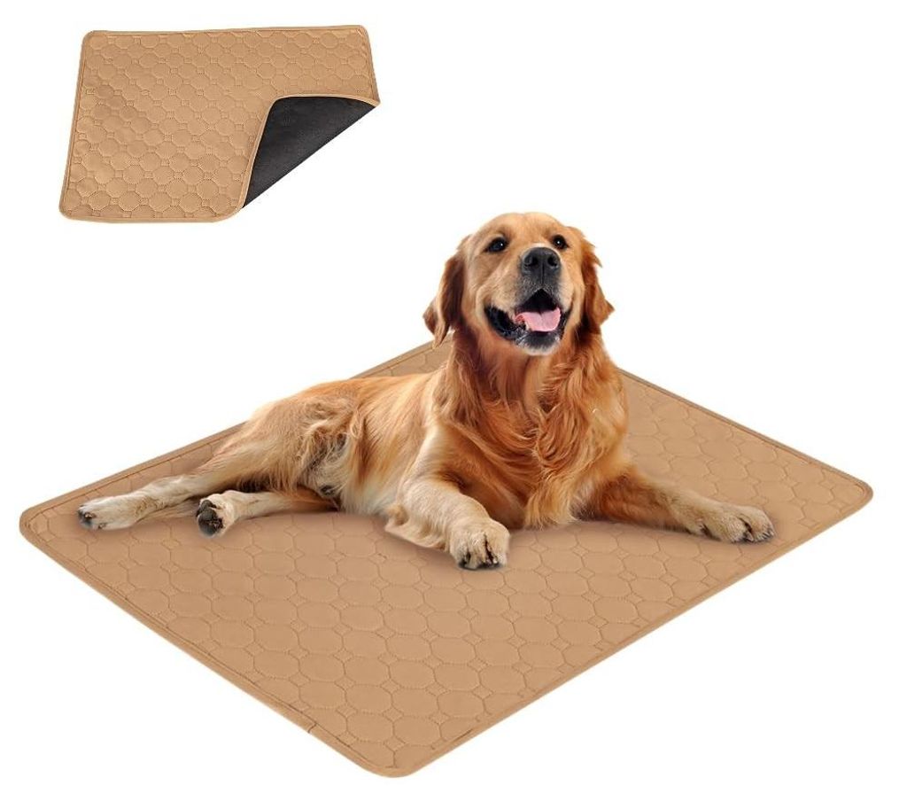 Wasbare en Absorberende Hondenmat 100 x 70cm Productafbeelding 