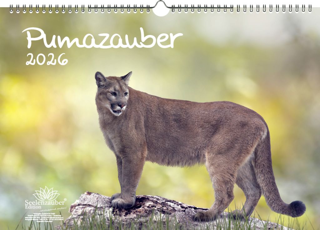 Pumazauber DIN A3 Kalender für 2026 Puma - Seelenzauber