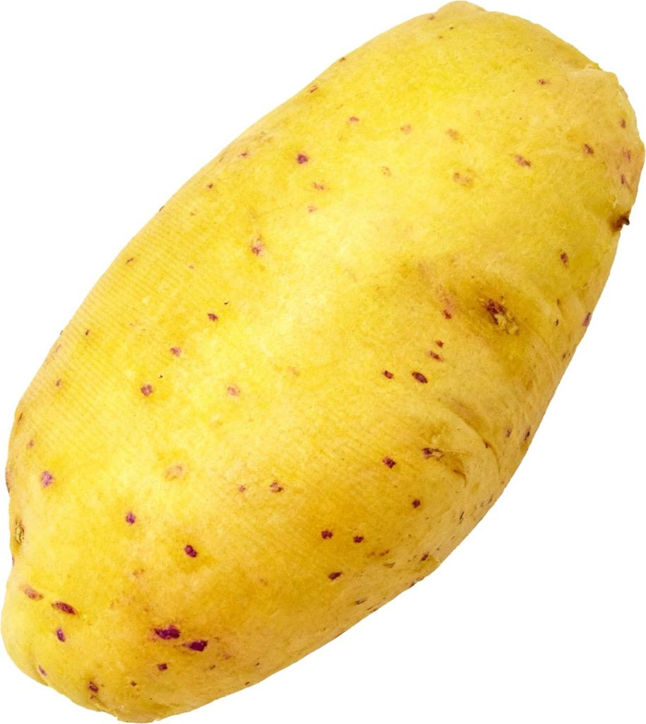 Haustier Hund Plüsch Leinwand Spielzeug Simulation Gemüse Kauen Quietschen Spielzeug (Kartoffel Katze kurze Plüsch)