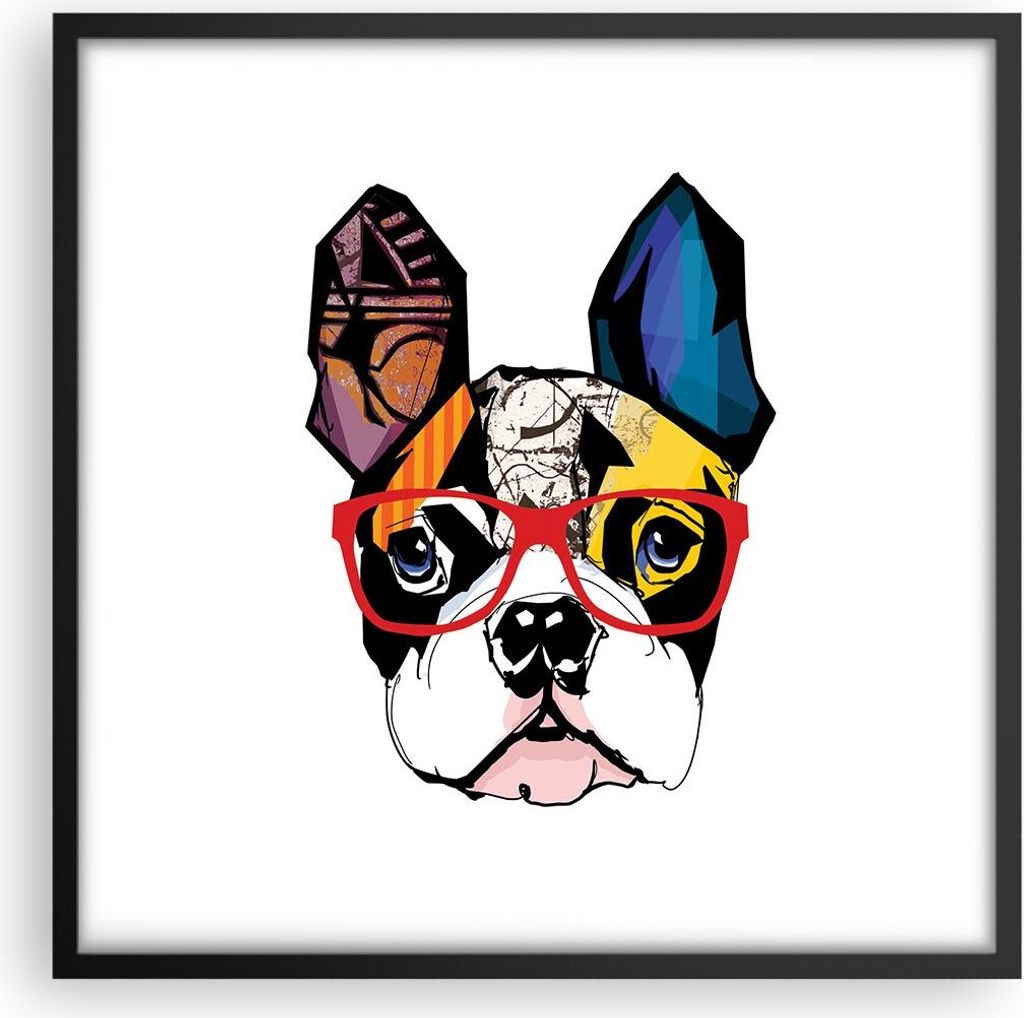 Gerahmtes Poster - Schwarzer Rahmen - Hund Brille Bunt Bulldogge - 50x50 cm - Wand Bild - Wanddeko - Wandbilder - Wandposter - Bilderrahmen - Bilde...