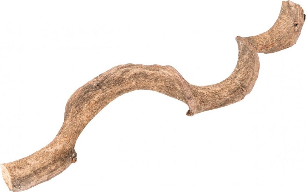 Drachen Liane in Natur, Länge ca. 60cm, Durchmesser ca. Produktbild 