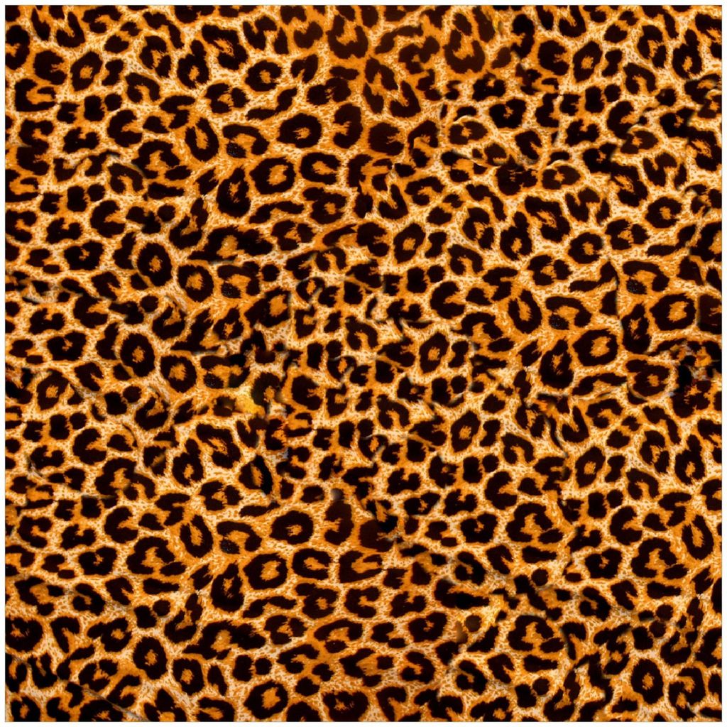 Wallario Premium Glasbild, freischwebende Optik, kräftige Farben, Größe 30 x 30 cm Motiv Leopardenmuster in orange schwarz