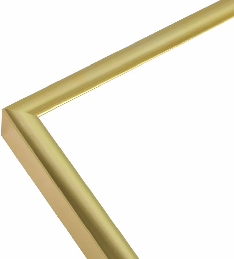 Cornice Oro 30x40 Deknudt S027 - Alluminio Professionale Prezzo - 2