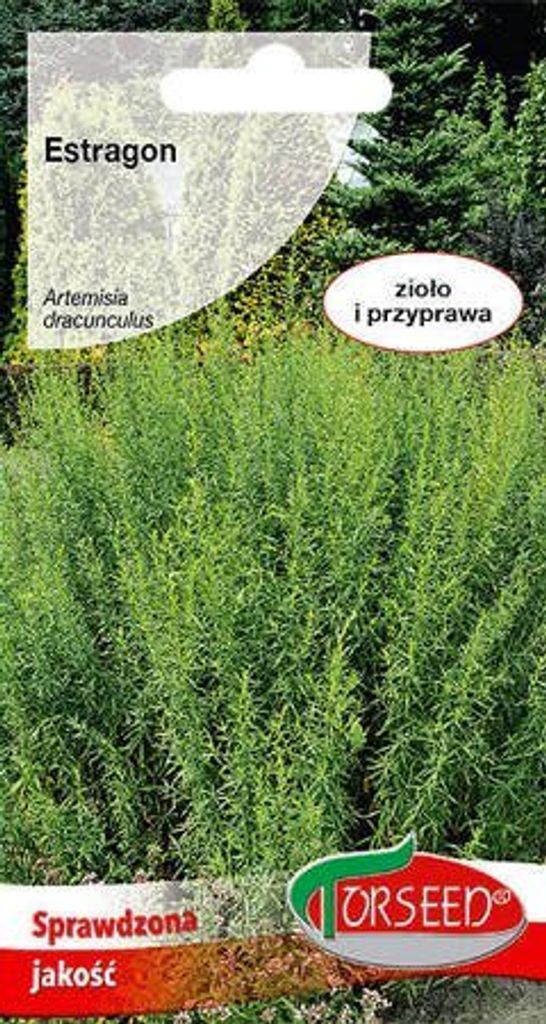 Samen von Estragon, Artemisia dracunculus 0.1g - Torseed Produktbild 