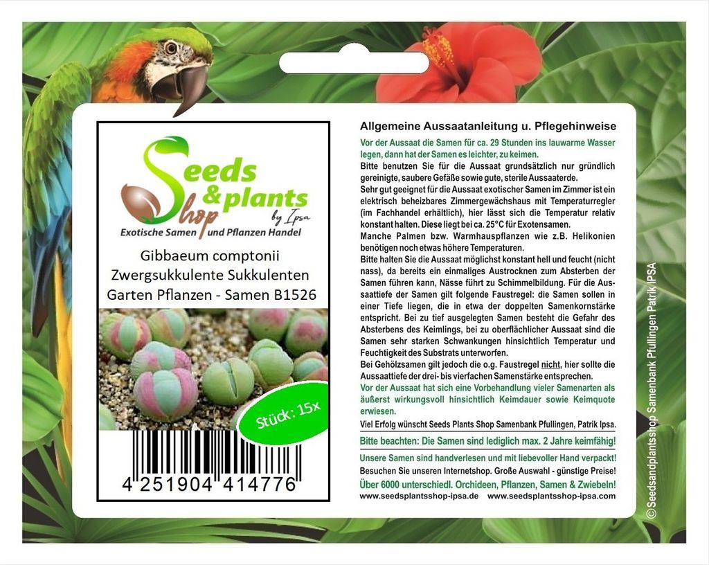 15x Gibbaeum comptonii Zwergsukkulente Sukkulenten Garten Produktbild 