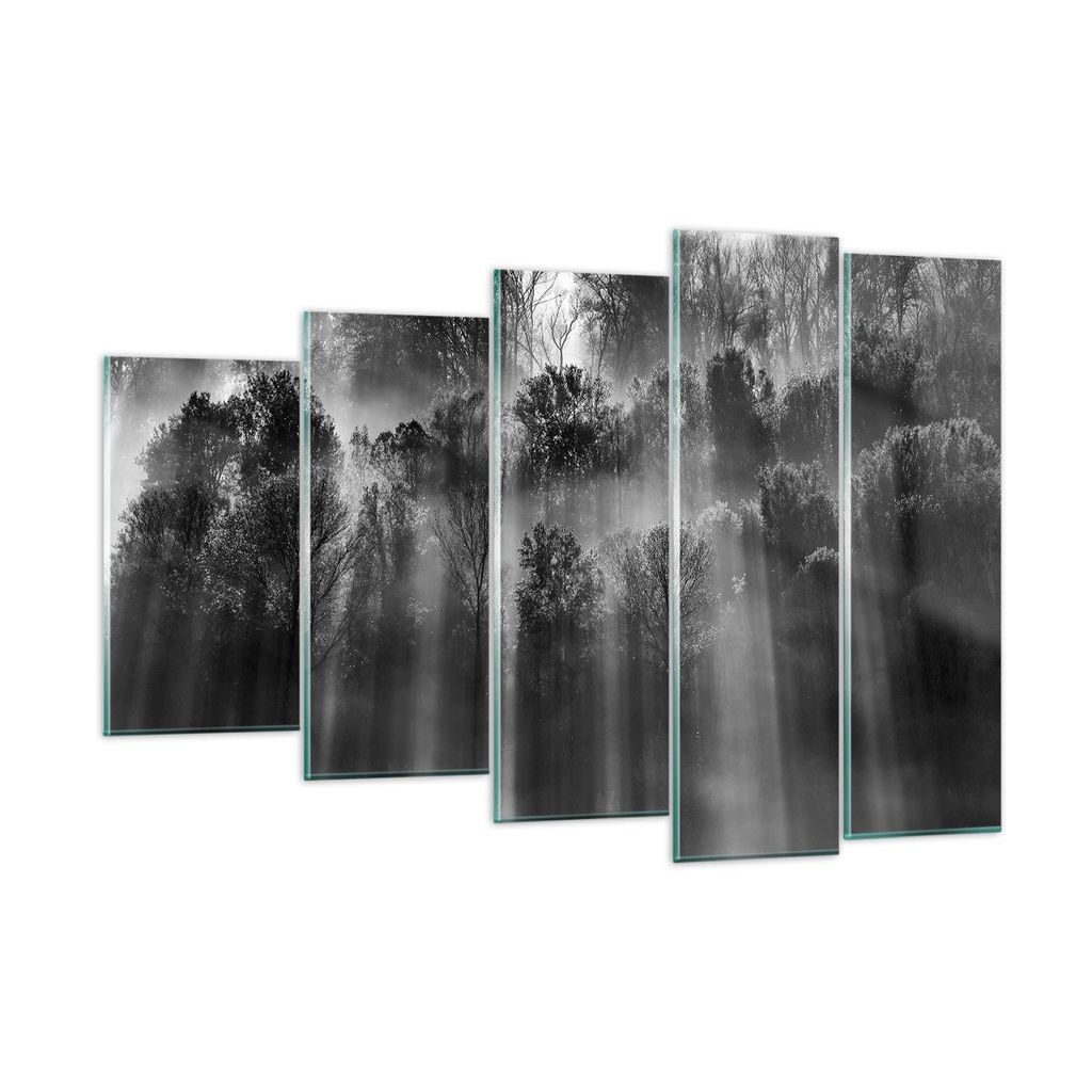 Bilder auf glas - 5 Teile - Bäume drinnen Nebel - 150x100cm - Glasbilder - Wandbilder - Bilder - zum Aufhängen bereit - Wanddekoration aus Glas -...
