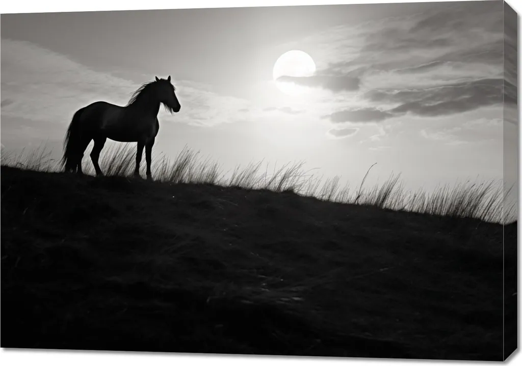 Quadro 100x70cm Guardia Lunare: Tela Moderna per Arredamento Interni