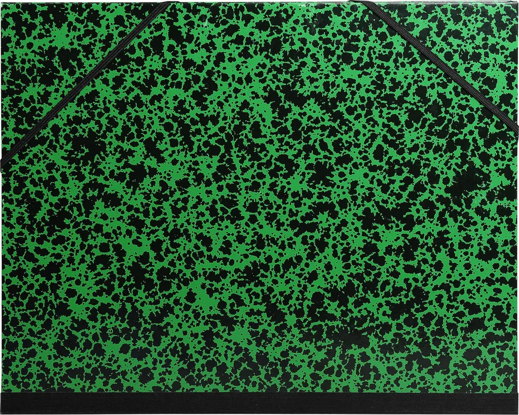 Exacompta 10x Carton à dessin Annonay 28x38 cm Vert B4 Réf 541200E