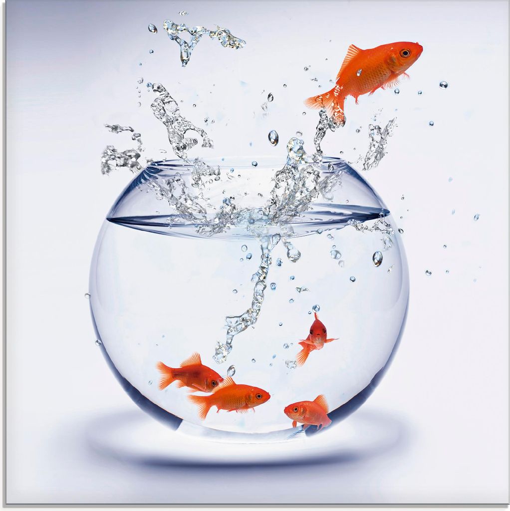 ARTland Glasbild Goldfischaquarium Größe: 30x30 cm