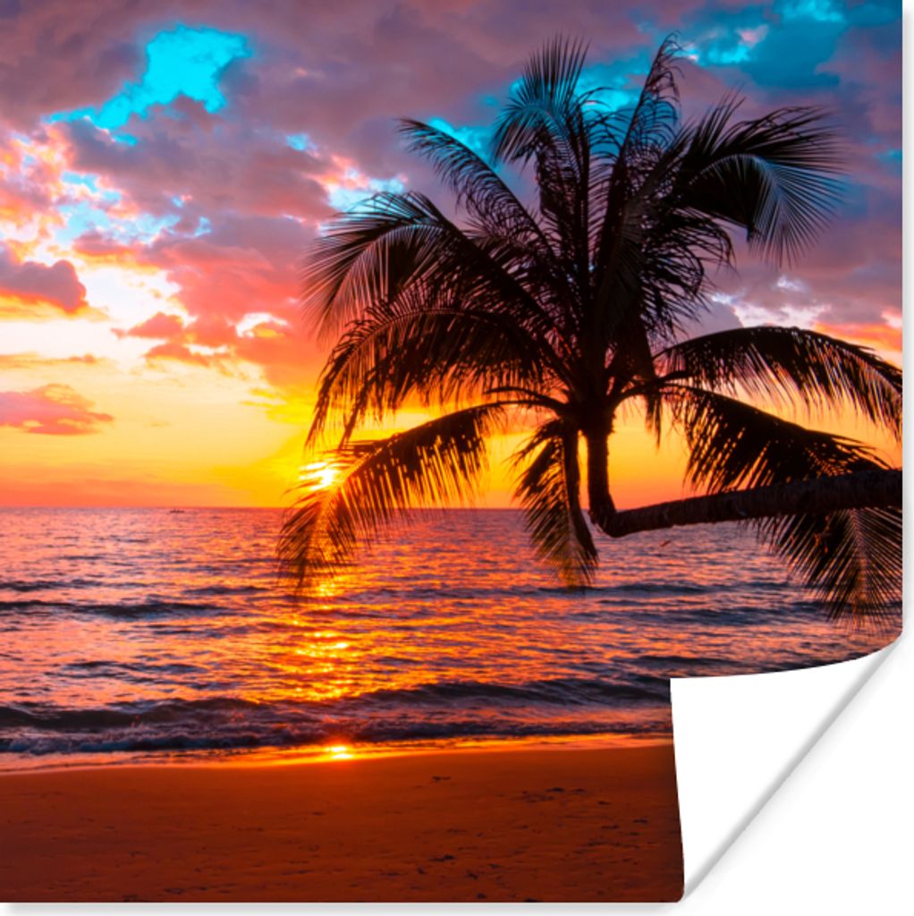 MuchoWow Poster Palme - Sonnenuntergang - Strand - Meer - Horizont 75x75 cm - Wand Dekoration
