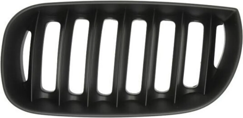 Calandre de radiateur pour BMW X3 E83, Grille de protection BLIC Noir robuste