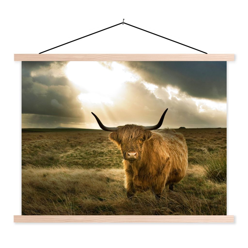 MuchoWow Textilposter Schottischer Hochländer - Sonne - Tiere 60x45 cm mit holzfarbenen Rahmen - Bild