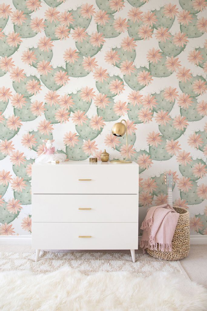 Coloray Fototapete 250x104 cm An Einer Wand Latex Latextapete - Kaktus-Blumenkakte-Flowers.