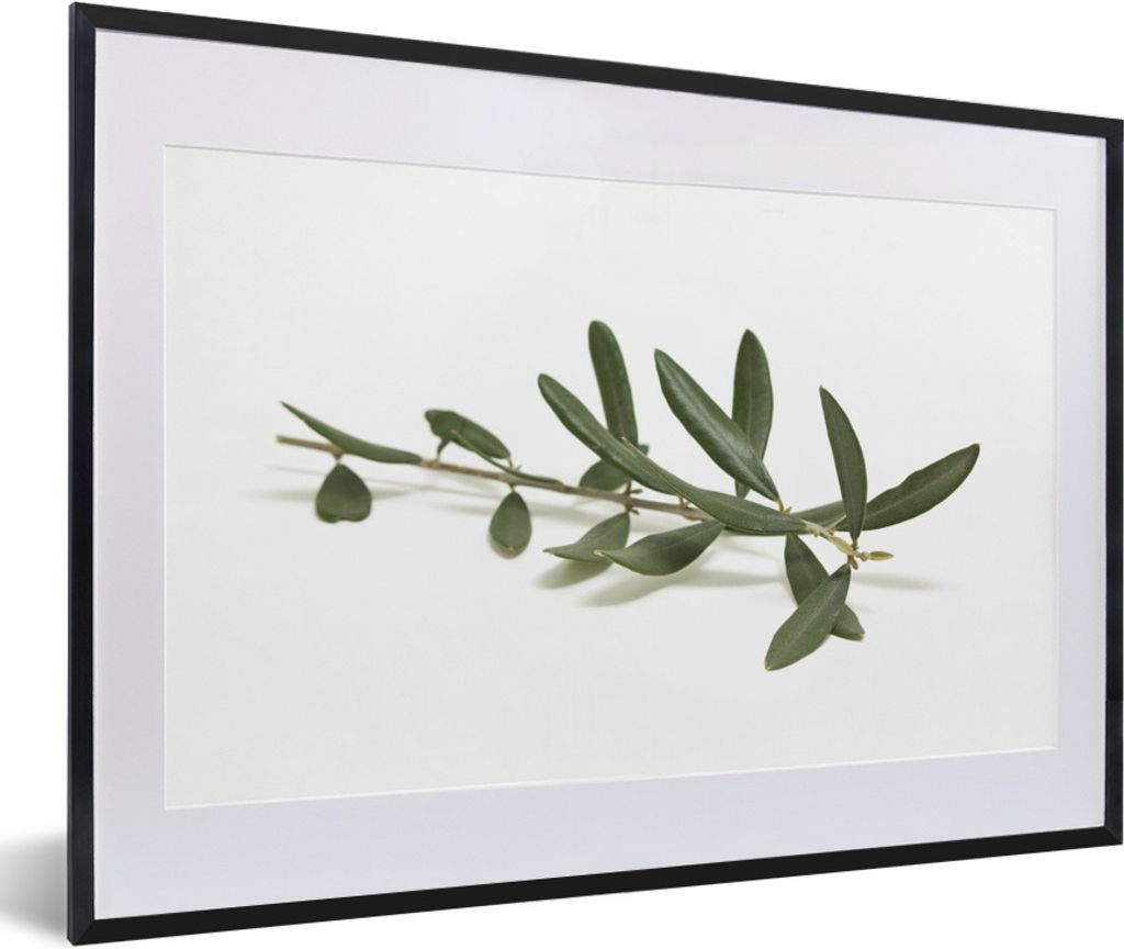 MuchoWow Gerahmtes Poster Olivenzweig auf einem weißen Hintergrund 60x40 cm - Poster mit Schwarzem Bilderrahmen Wandposter Rahmen Foto Bilder - ...