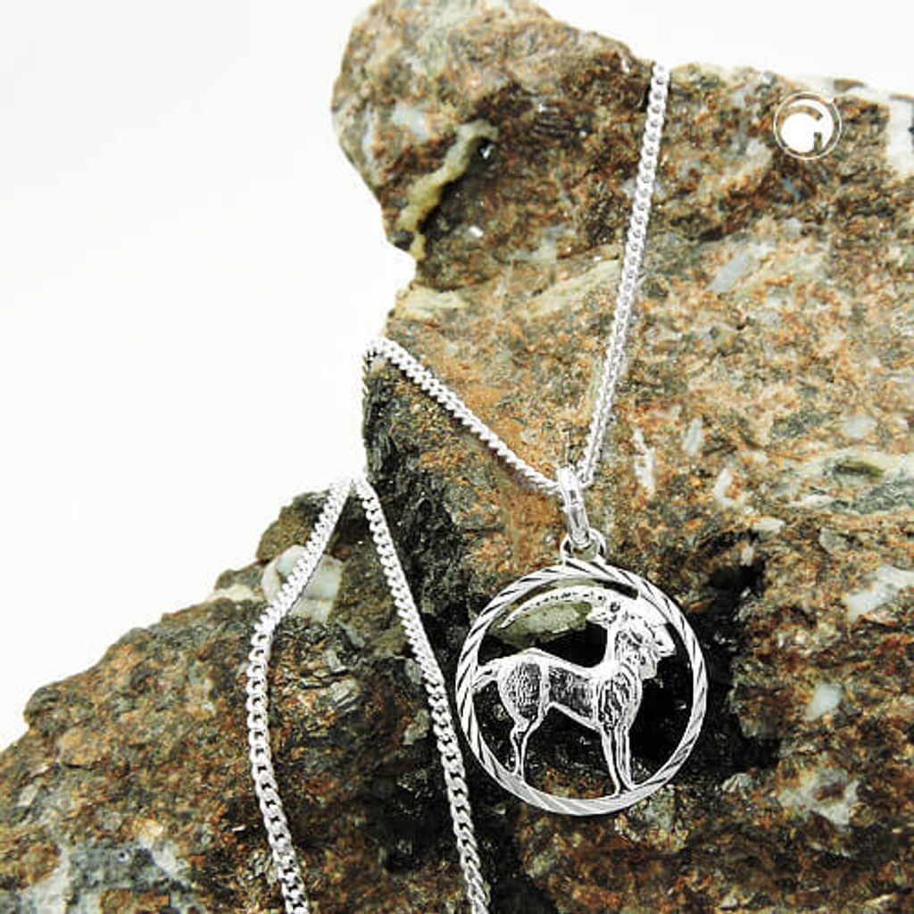 Anhänger Sternzeichen Steinbock mit 1,4mm Flachpanzer-Kette Produktbild 2