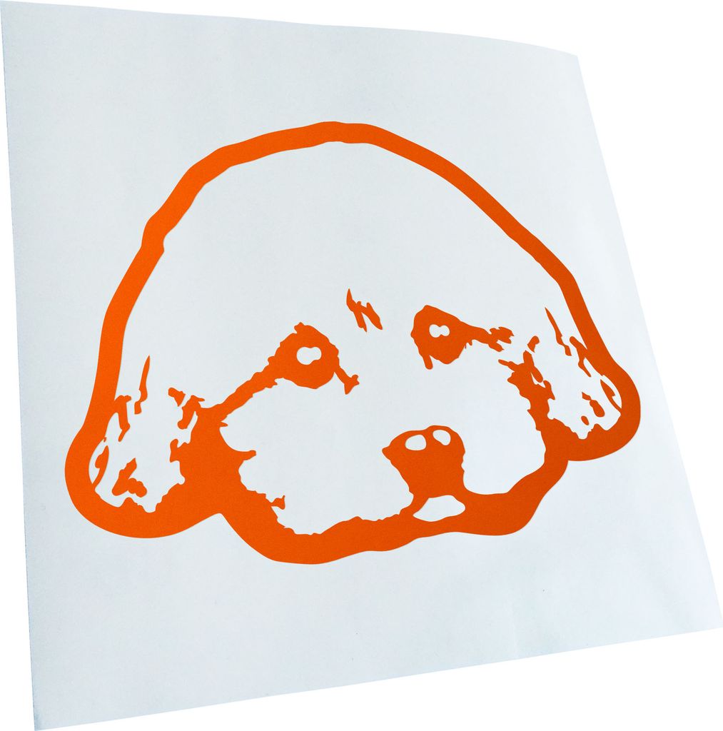 Kiwistar - Autoaufkleber - yorkie poo Hund - Rot - 14x10cm - Aufkleber für Auto, Laptop, Fahrrad, LKW, Motorrad mehrfarbig JDM Decal Racing