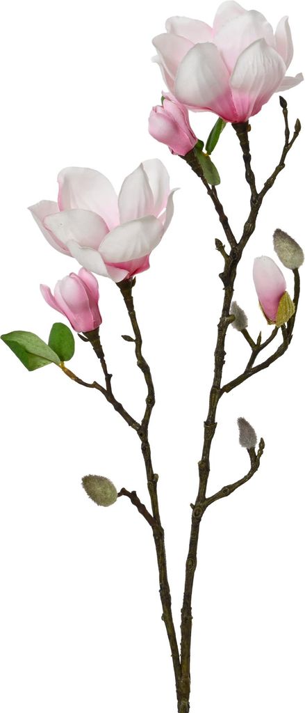 Künstlicher Magnolienzweig 76x15x11cm Weiß Rosa Grün Produktbild 