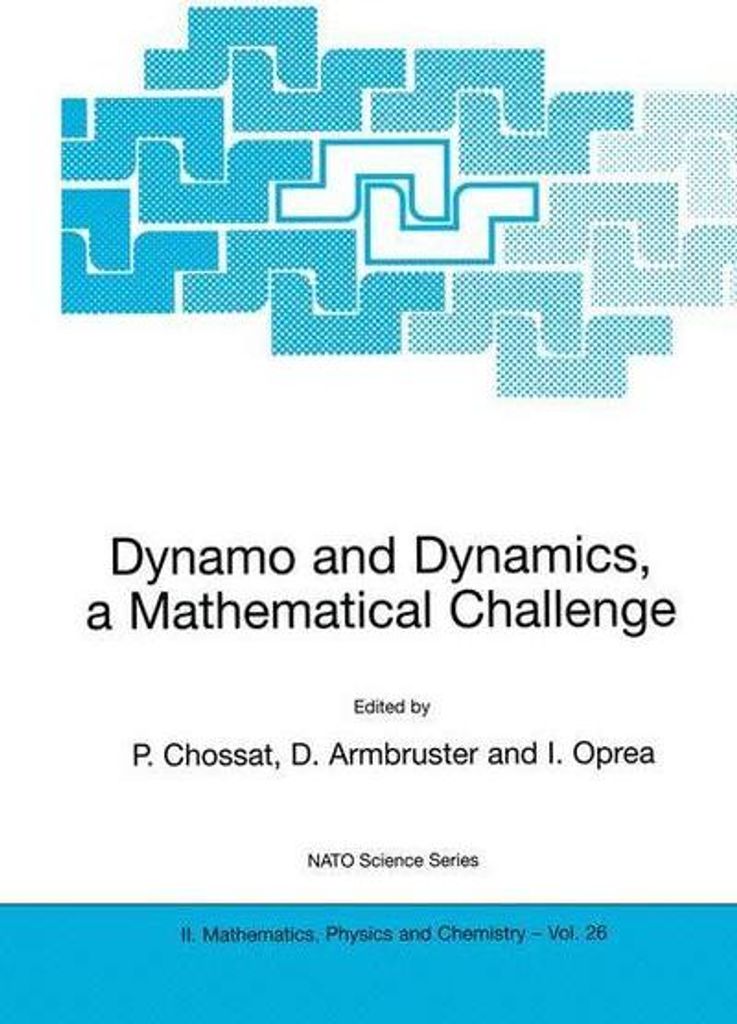 Dynamo und Dynamik, eine mathematische Herausforderung