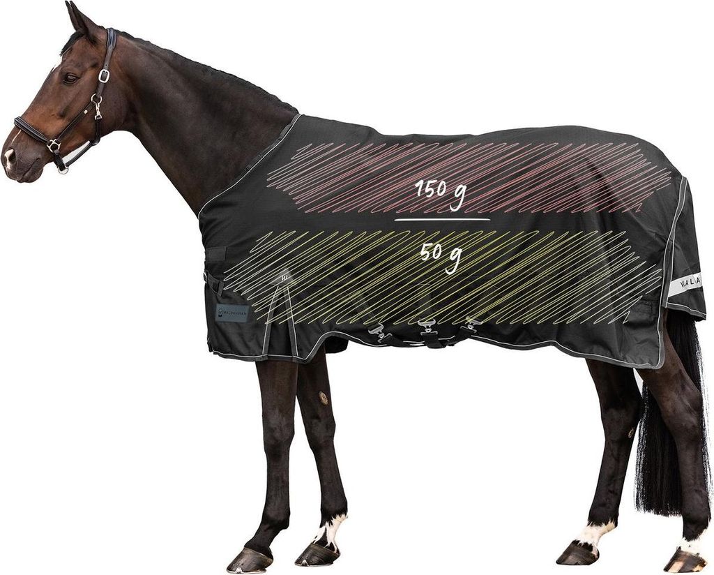 Waldhausen Outdoordecke Scandic Multi-Layer, 250g/100g- schwarz, 155