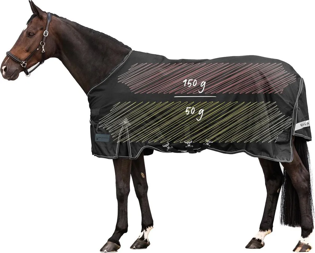 Couverture de pré modulable pour cheval Scandic Waldhausen 150g+50g