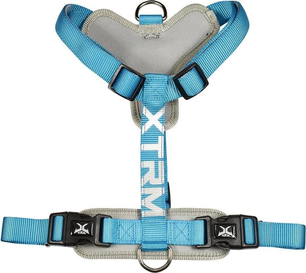 X-trm Cronos Neon Flash Blau Geschirr, T-m 20 mm x 46-75 cm