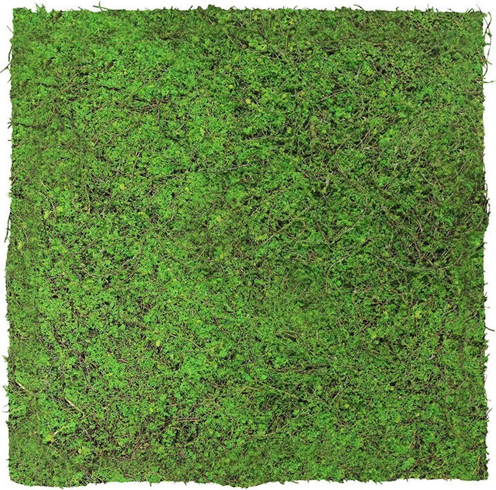 JANGAL Modular Wall Akustik 3D Paneele  520 x 520 mm Forest Produktbild 