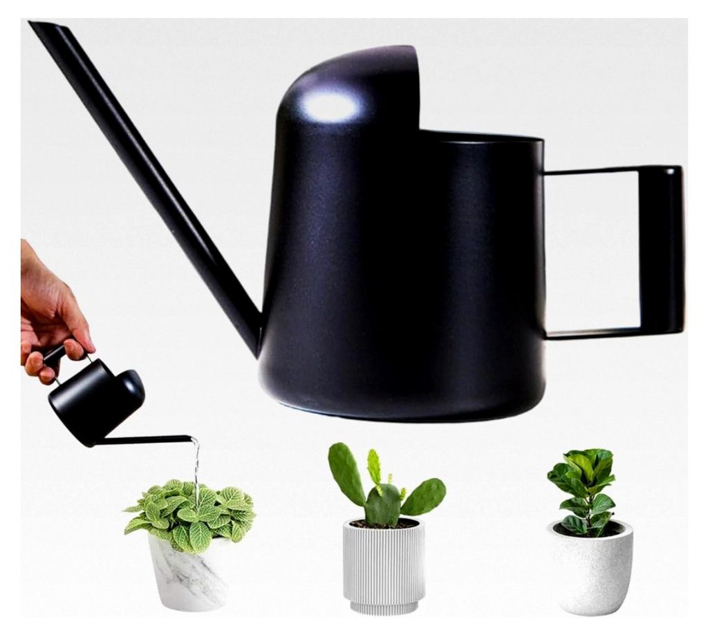 Gießkanne, 300ml für Zimmerpflanzen, Edelstahl mit langem Auslauf, Mini-Gießkanne für Innen, Büro, Haus, Garten, Balkon, Sukkulenten (Schwarz)