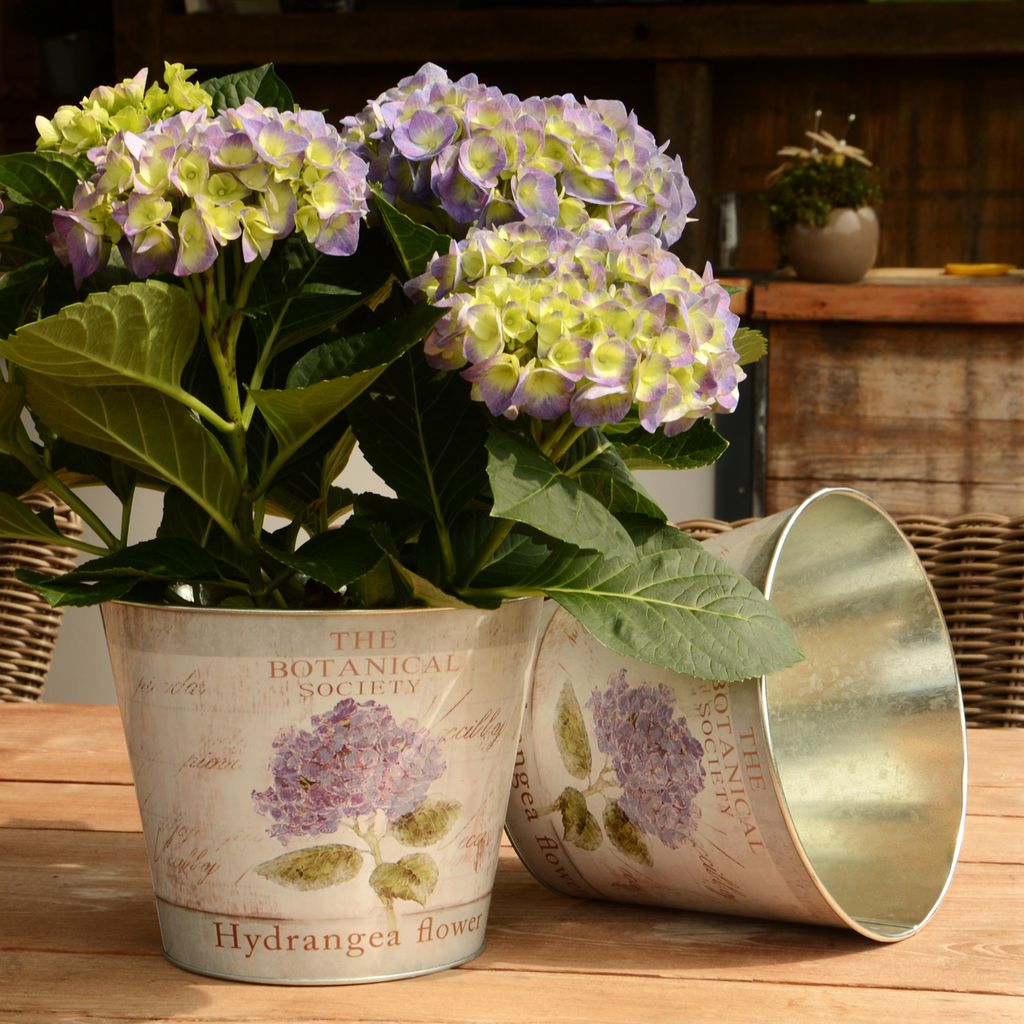 UNUS 2er Set Blumentopf Zink Übertopf Kaufland.de