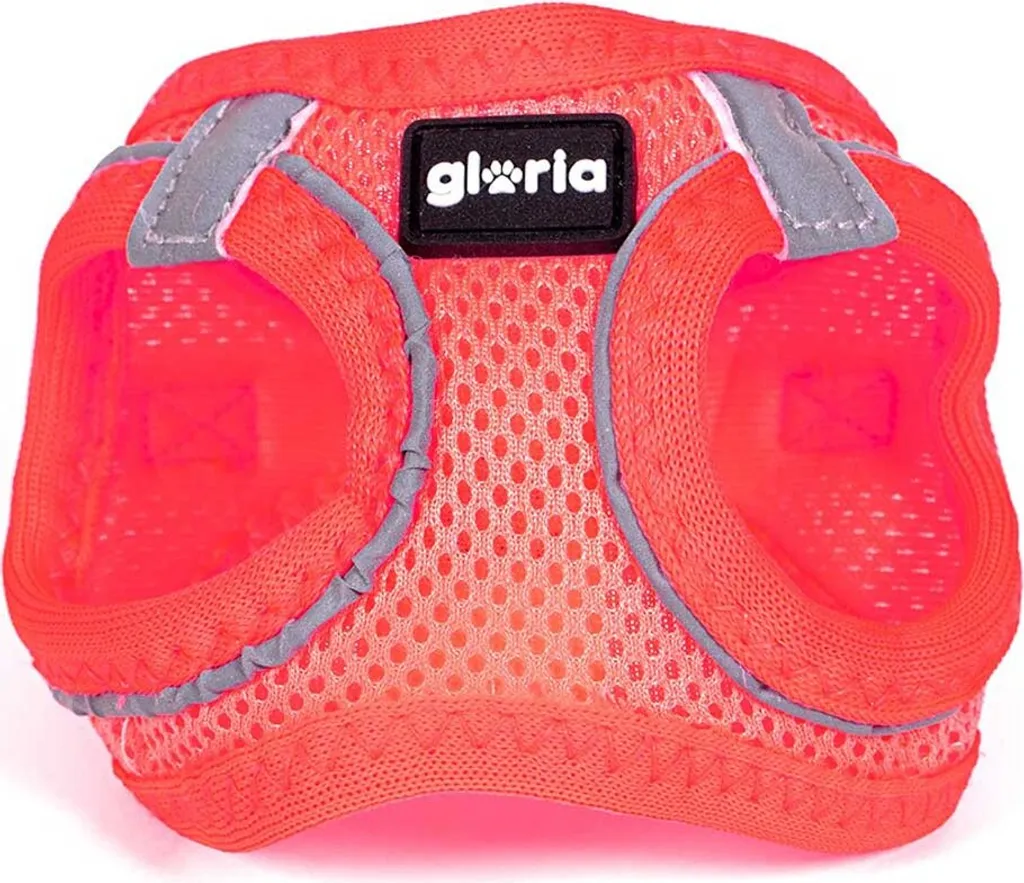 Gloria Air Mesh Trek Star Hundegeschirr M M