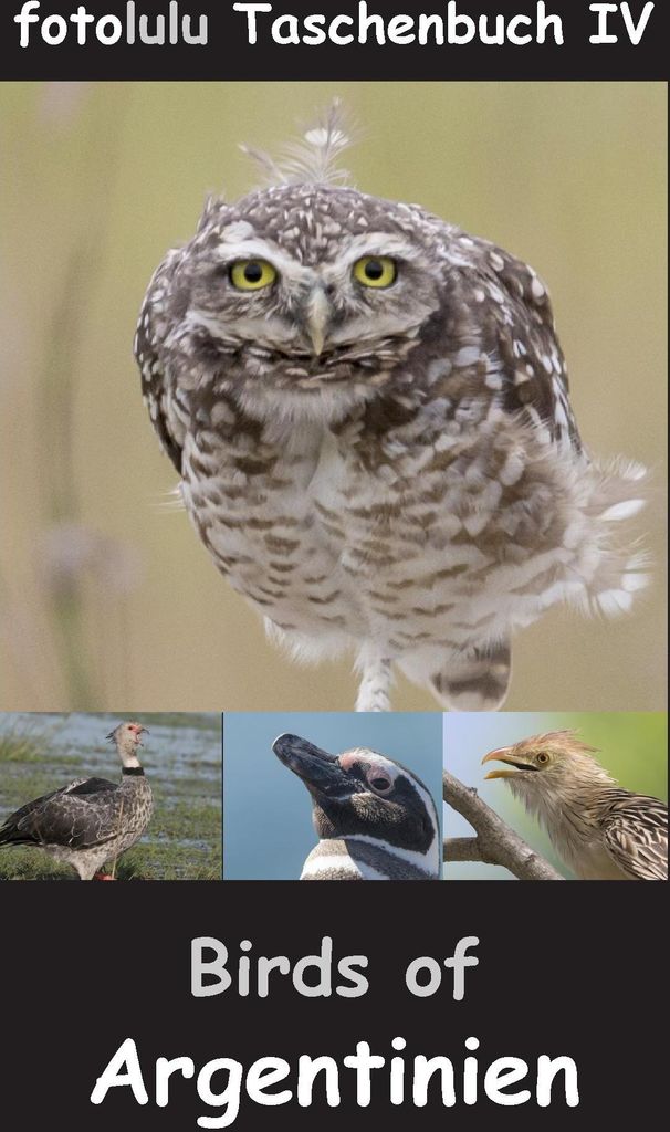 Birds of Argentinien