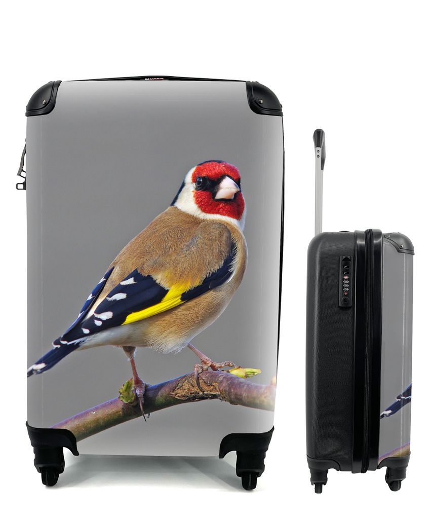 MuchoWow Koffer Handgepäck Trolley Rollkoffer Kleine Reisekoffer mit 4 Rollen - Ein Putter schaut direkt in die Kamera - Cabin Size < 55x40x23 c...