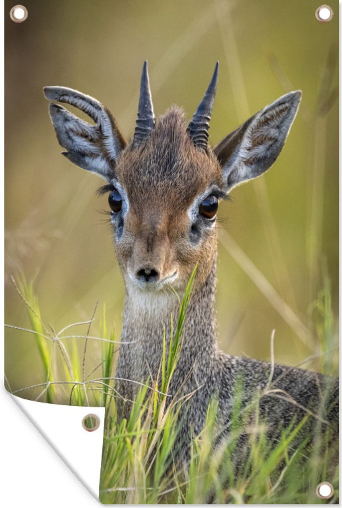 MuchoWow 40x60 cm Outdoor-Poster Gartendeko Sichtschutz Garten Poster für den Garten Dick in Kenia
