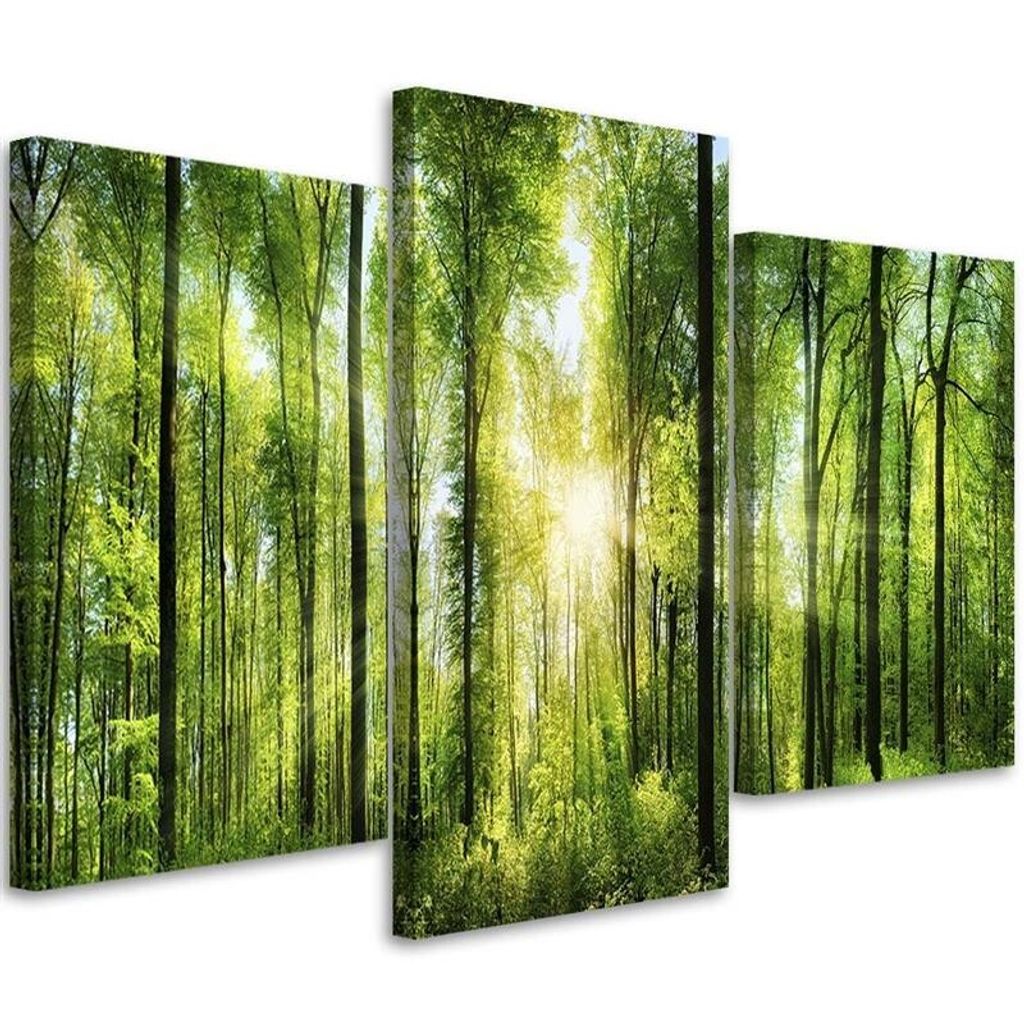 Triptychon auf leinwand sonnenschein in einem grünen wald 120x80 cm Feeby grün wandbild bereit zum aufhängen