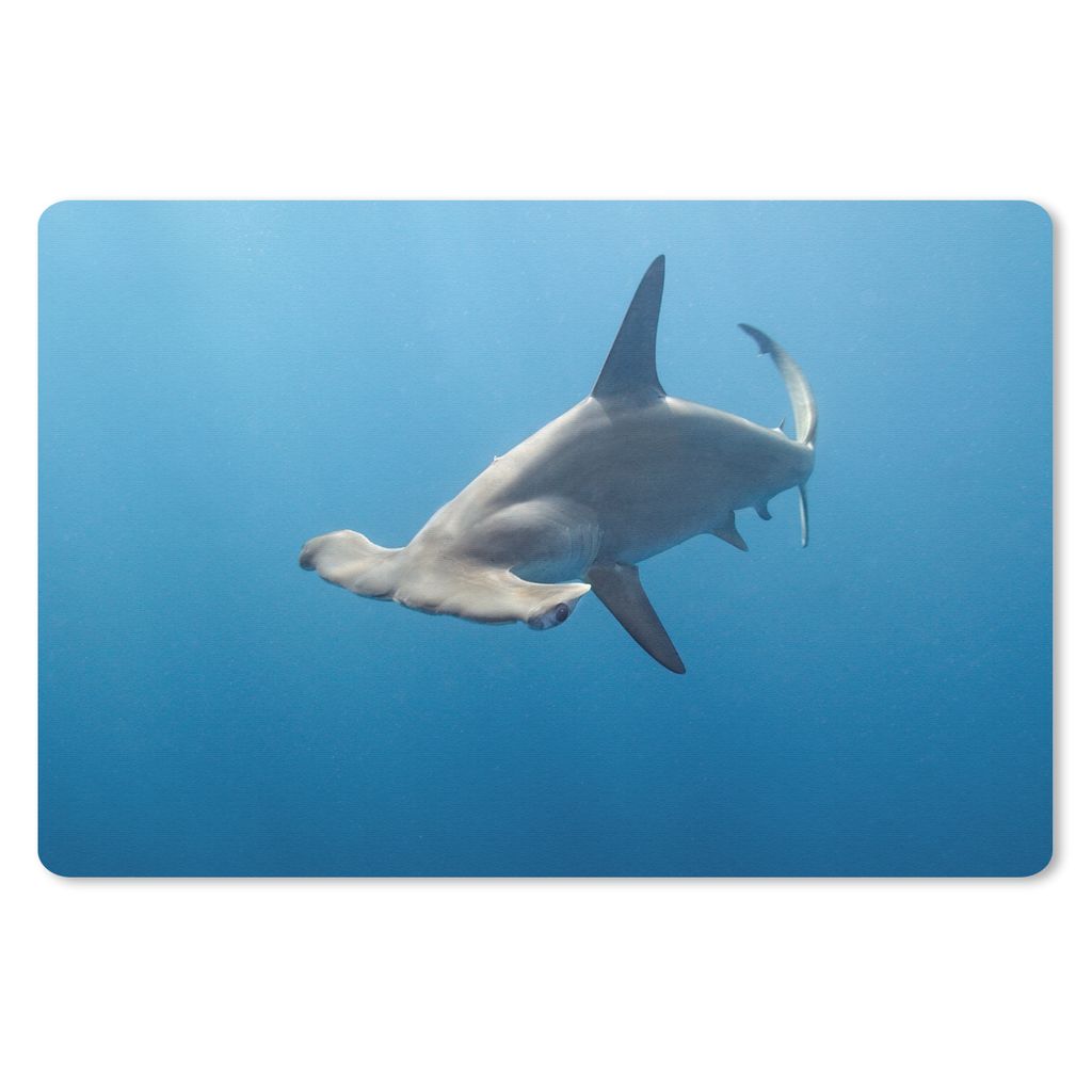 MuchoWow Mauspad Mousepad Hammerkopf 27x18 cm - Mousepads - Maus Mat - Pad - Mausunterlage - Büroartikel - Desk Matten