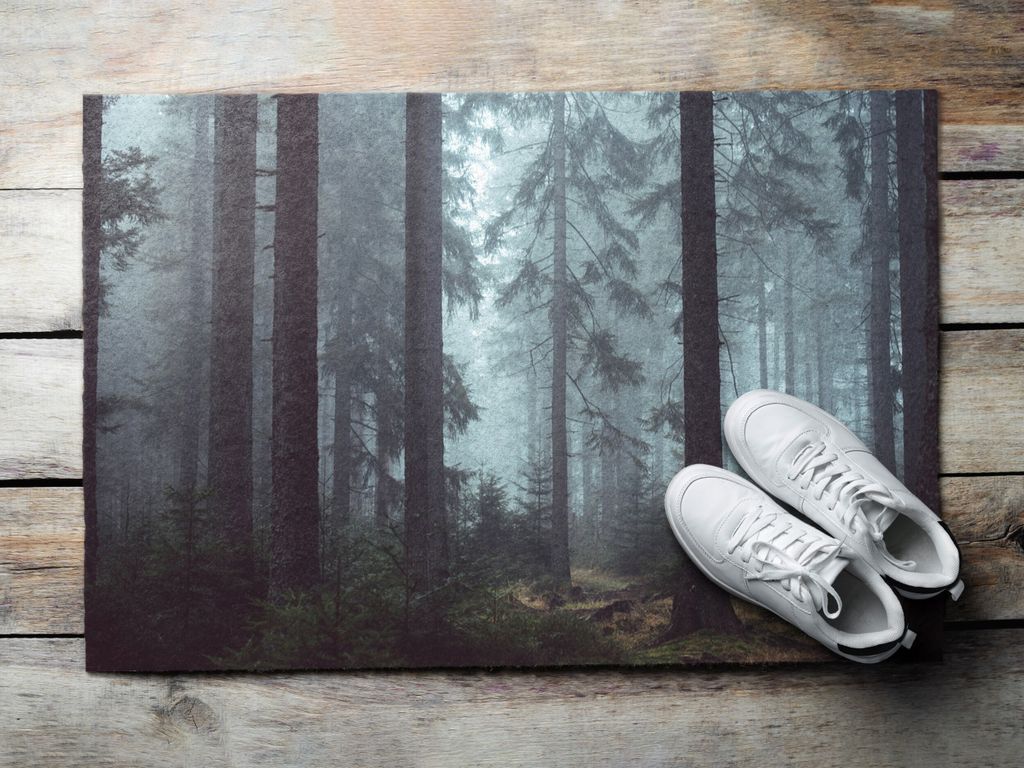 Fußmatte Aussen - Schuhmatte Haustür- Schmutzfangmatte Türvorleger - Outdoor Teppich Schmutzfänger - 60x40 cm - Nebeldickicht