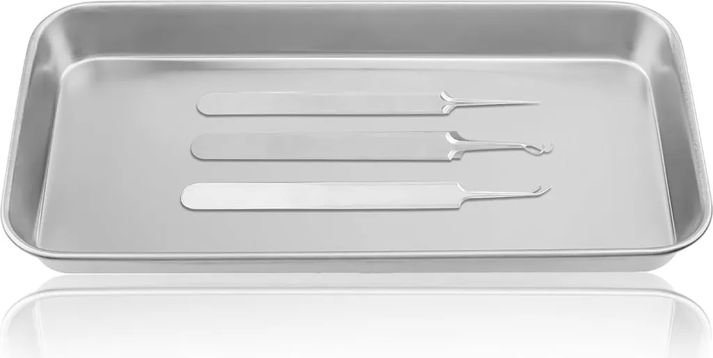 Plateaux de présentation inox pour buffet et repas - Pack de 6 pièces