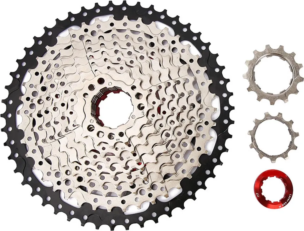 Roue libre VTT 10 vitesses pour sorties sportives en terrain humide