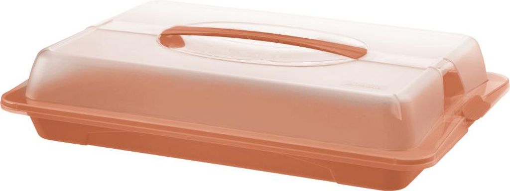 Rotho Partybutler John medium 44 x 30 cm koralle