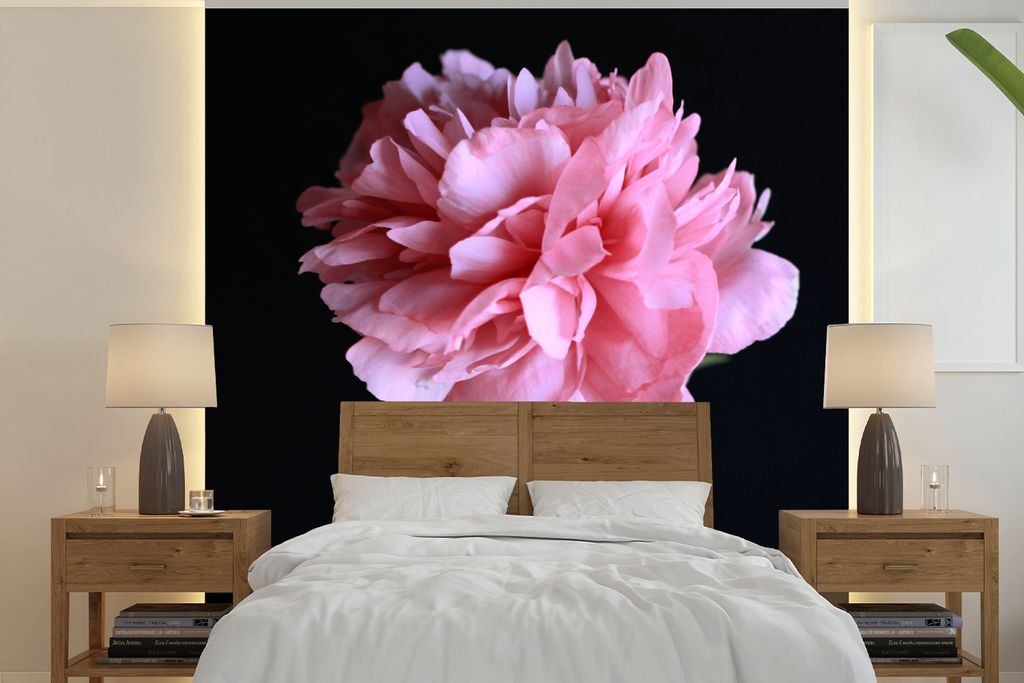 MuchoWow Fototapete für Wohnzimmer oder Schlafzimmer Wandtapete Vinyl Motivtapete Rosa Pfingstrose in Blüte - 240x240 cm - Schlafzimmer-Tapete
