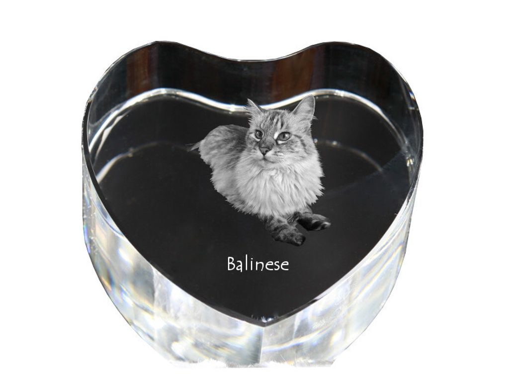 Balinese links - Kristalluhr mit Katzenbild, Herzregal-Uhr, personalisierte Standuhr von Art-Dog.