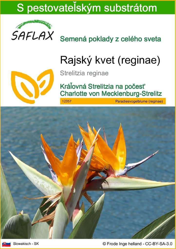 SAFLAX - rajský kvet (reginae) - Strelitzia reginae - 5 Obrázok produktu 