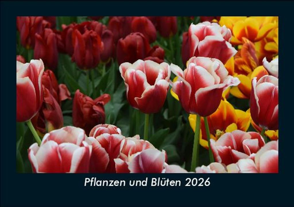 Pflanzen und Blüten 2026 Fotokalender - Querformat DIN A5, Monatskalender mit Bild-Motiven aus Fauna und Flora, Natur, Blumen und Pflanzen