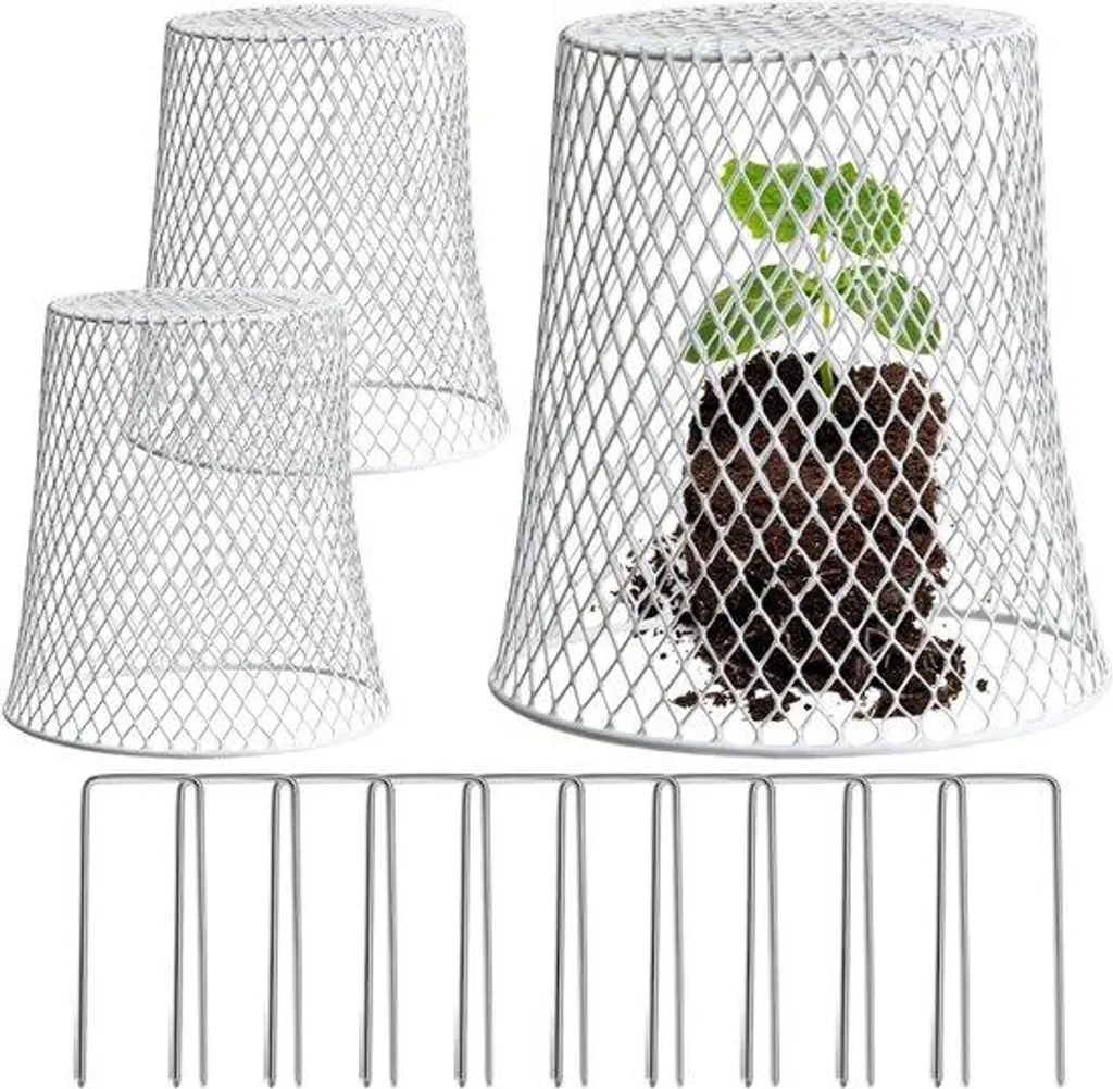 Clochettes de protection pour plantes lot de 3 anti-animaux et vent