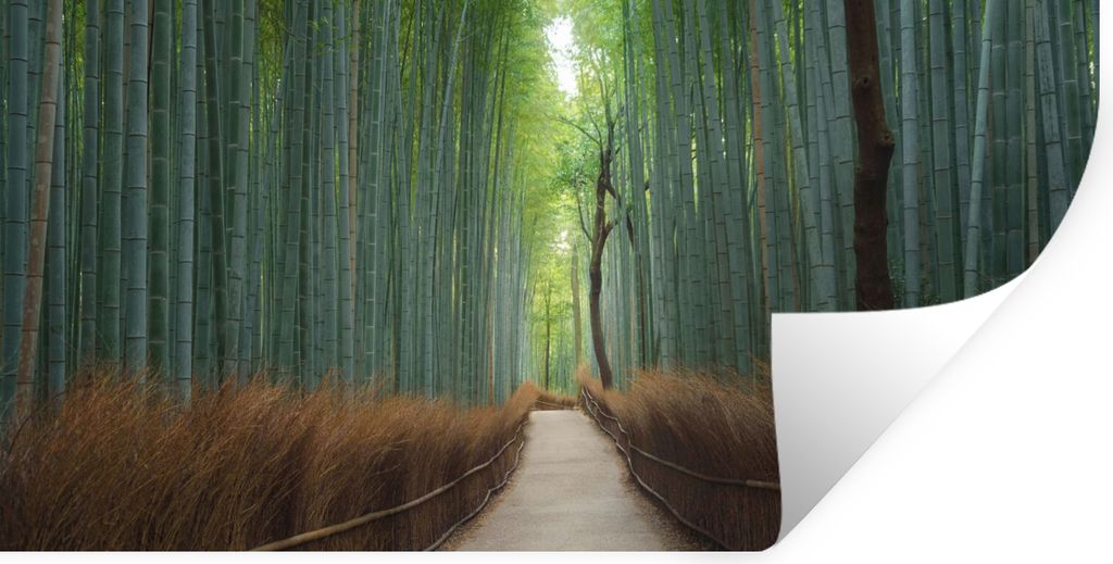 MuchoWow Wandtattoo Wandsticker Wandaufkleber Bambus - Weg - Wald 120x60 cm Selbstklebend und Repositionierbar - Sticker - Dekorfolie