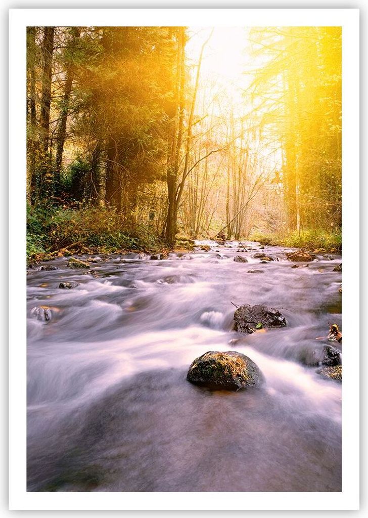 Poster - Poster ohne Rahmen - Herbst Wald Berg Fluss - Produktbild 