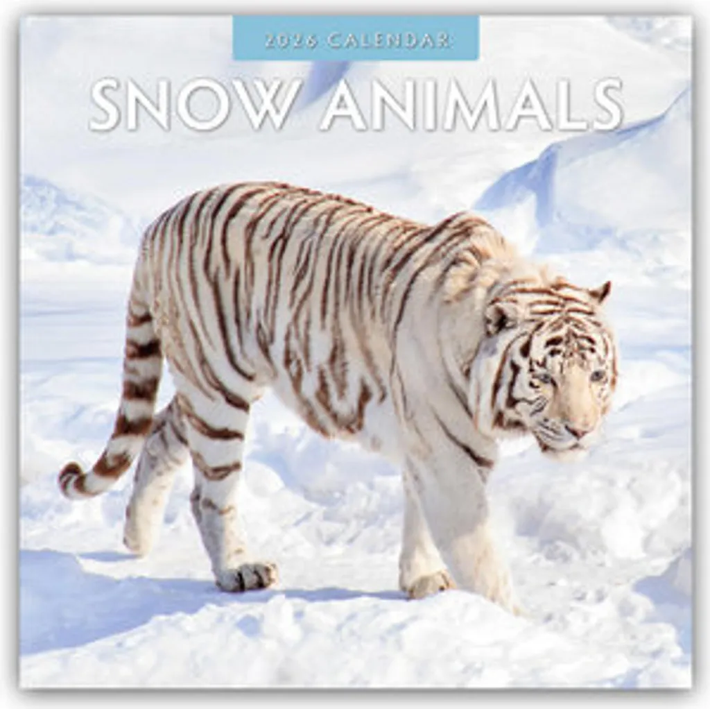 Calendrier Mural 2026 Snow Animals : 16 mois de faune polaire sauvage