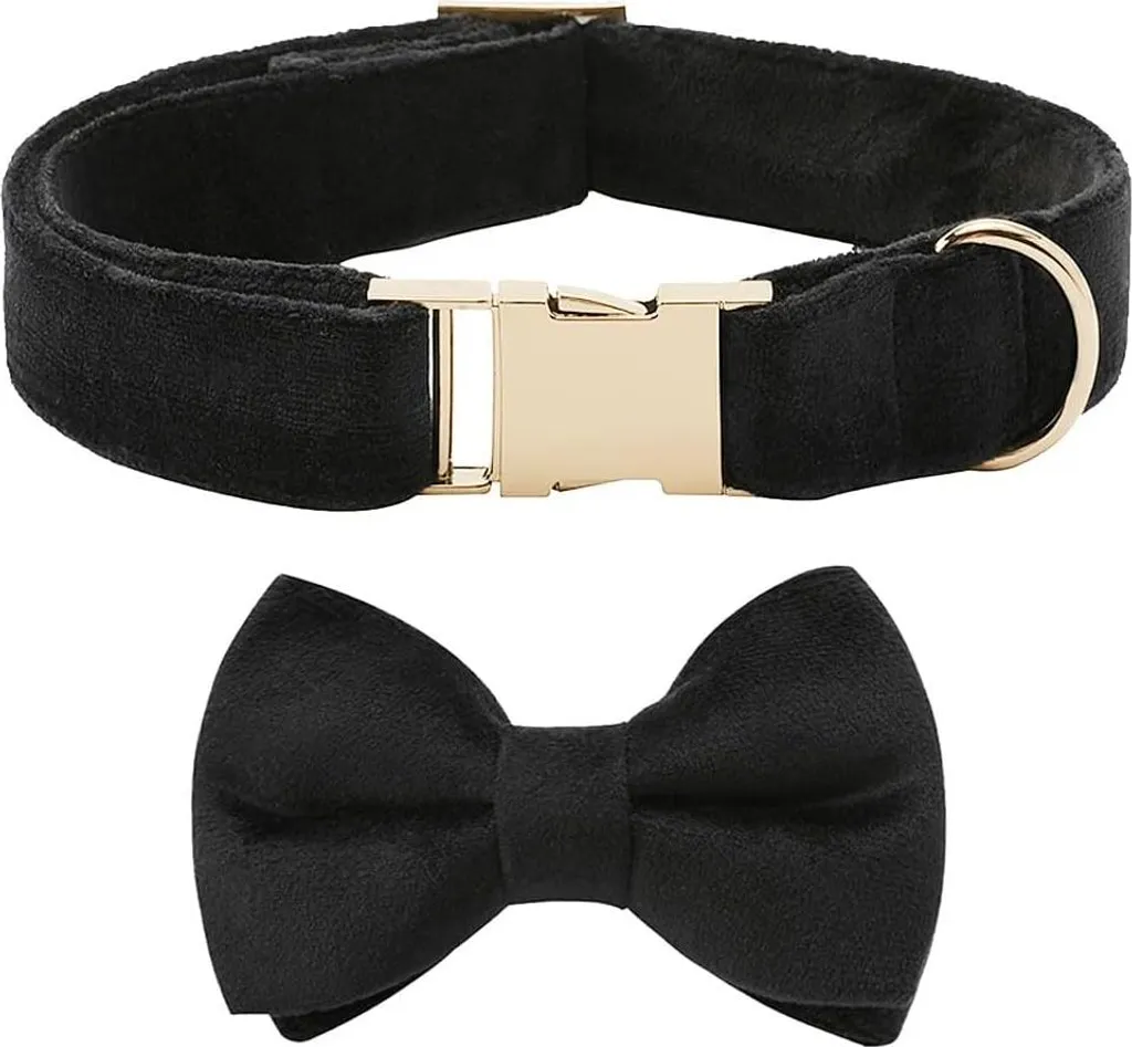 Collier de Cérémonie pour Chien en Velours Noir avec Accessoires Inclus