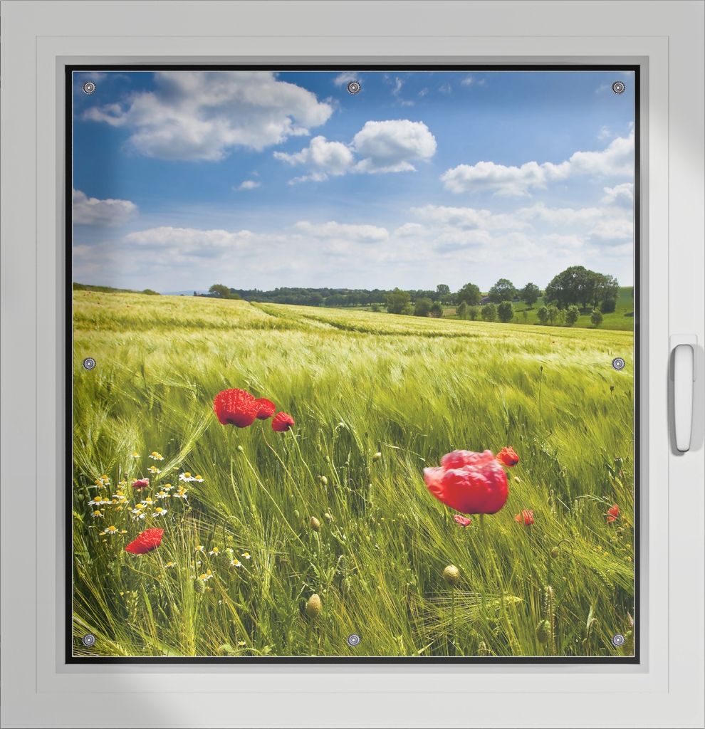 Wallario Lichtschutzbild, Dekorativer Sichtschutz Sonnenschutz 96 x 100 cm mit Motiv: Mohnblumenwiese auf grüner Wiese unter blauem Himmel - Verdu...